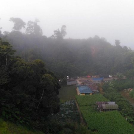 The Pines Hotel Kampung Kuala Terla Εξωτερικό φωτογραφία