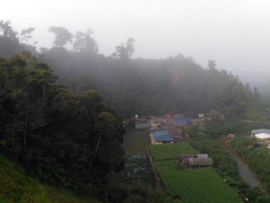 The Pines Hotel Kampung Kuala Terla Εξωτερικό φωτογραφία