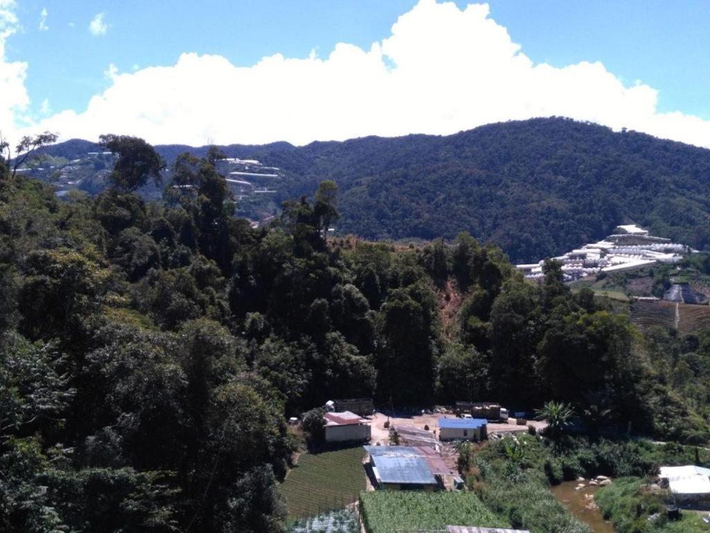 The Pines Hotel Kampung Kuala Terla Εξωτερικό φωτογραφία
